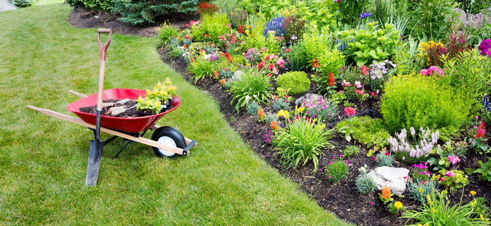 Garden maintenance